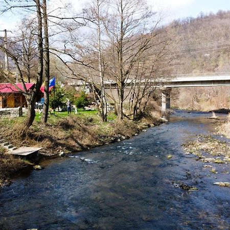 Eden Natural Resort - Transalpina Capalna المظهر الخارجي الصورة