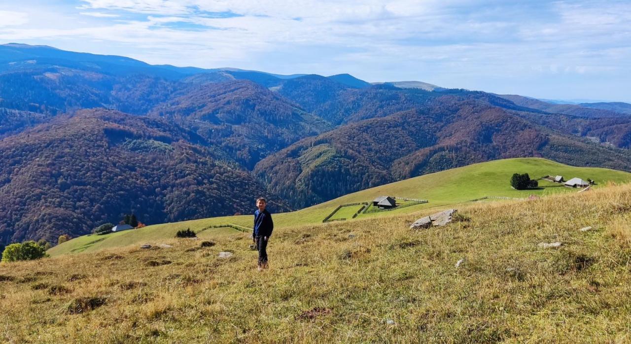 Eden Natural Resort - Transalpina Capalna المظهر الخارجي الصورة