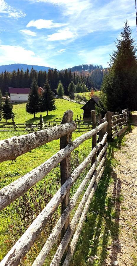 Eden Natural Resort - Transalpina Capalna المظهر الخارجي الصورة