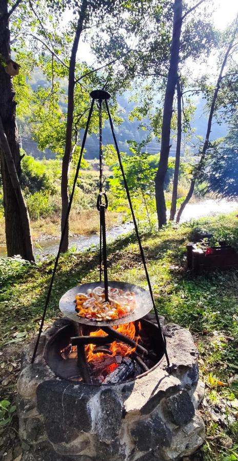 Eden Natural Resort - Transalpina Capalna المظهر الخارجي الصورة