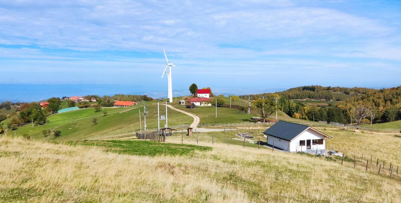 Eden Natural Resort - Transalpina Capalna المظهر الخارجي الصورة