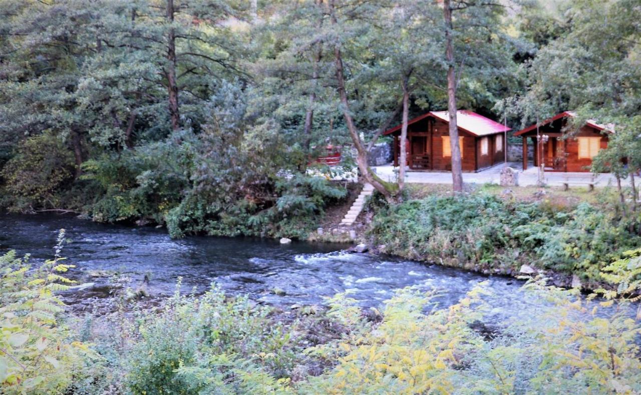 Eden Natural Resort - Transalpina Capalna المظهر الخارجي الصورة