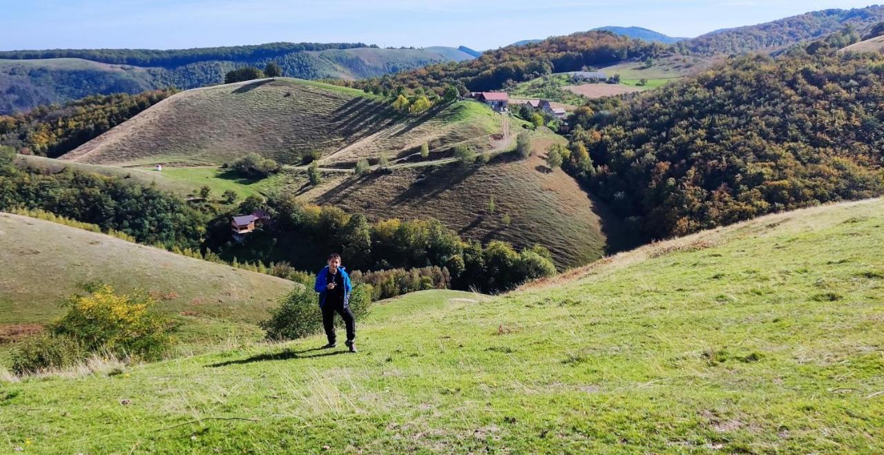 Eden Natural Resort - Transalpina Capalna المظهر الخارجي الصورة