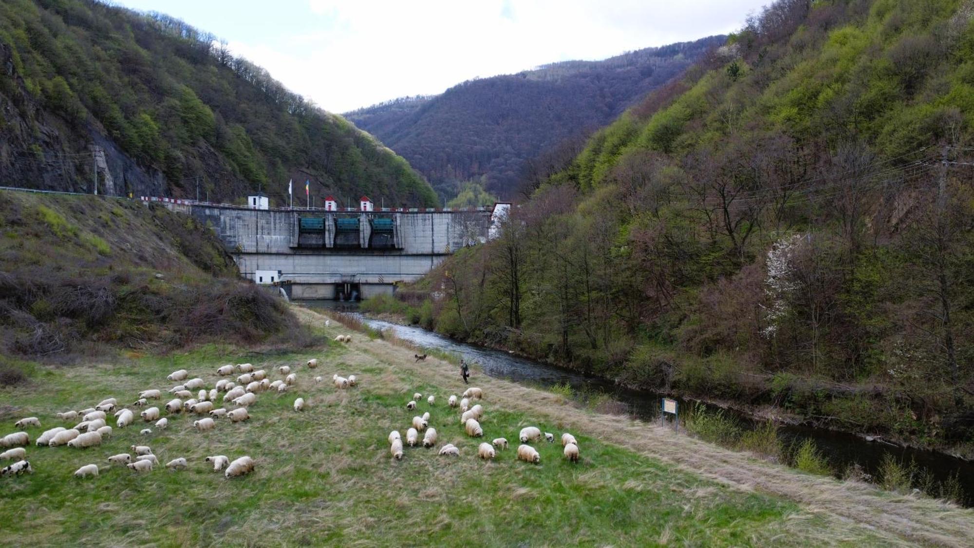 Eden Natural Resort - Transalpina Capalna المظهر الخارجي الصورة